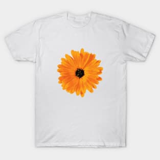 Sunflower T-Shirt